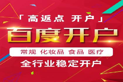 百度推广代运营案例：案例分享：打造行业领军品牌
